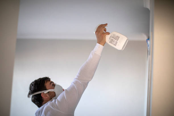 Best Attic Mold Removal  in Long Neck, DE