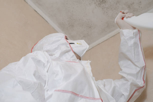 Best Certified Mold Removal  in Long Neck, DE